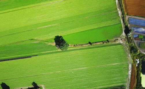 Vue aérienne d'un champ agricole